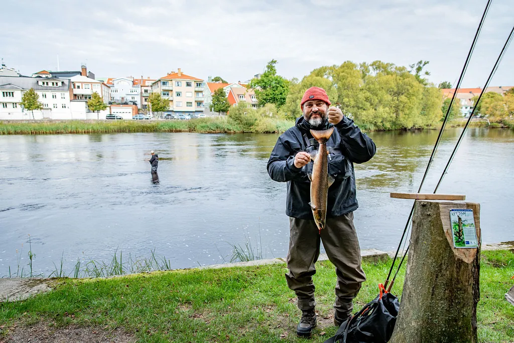 Nyheter