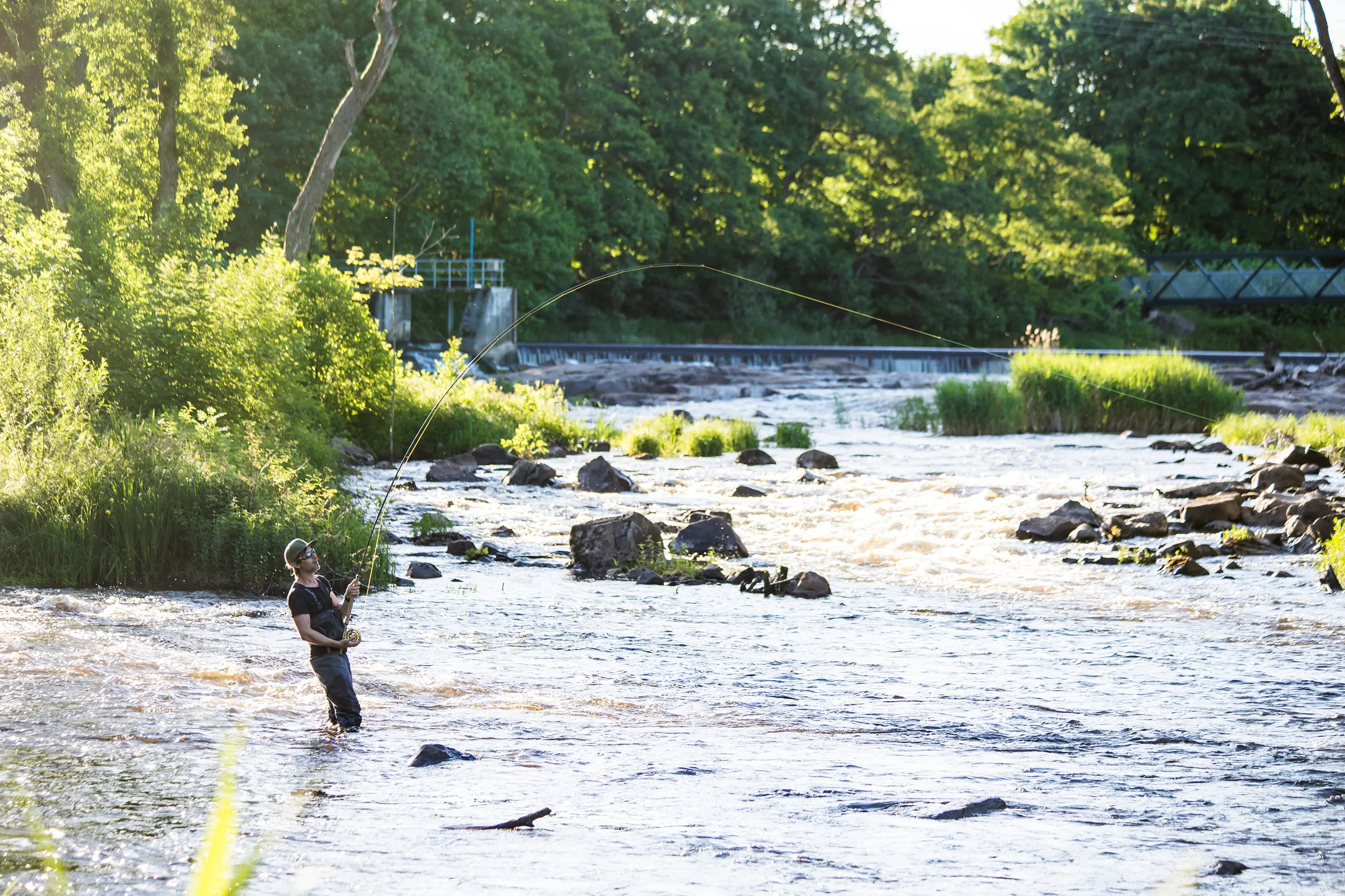 fiske i ätran